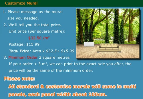 Area Requirements 3D Full Wall Mural Photo Wallpaper Printing Home Kids Decor - Picture 6 of 9