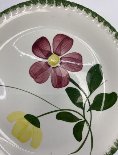 Southern Potteries BLUE RIDGE Mittagessen Teller handbemalt 9,25" Betty Design - Bild 2 von 4