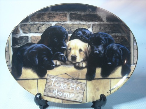 Choice of GOLDEN BLACK LABRADOR Plates Puppy Dog Franklin Danbury Mint Plate P1 - Picture 28 of 33