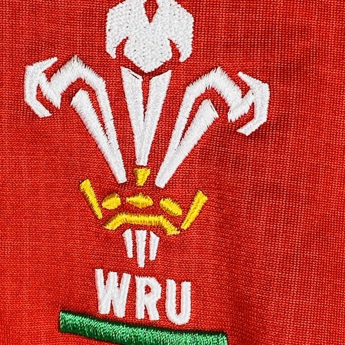 Wales Rugby Union WRU Home Shirt LS Red Jersey Kit Under Armour Men's Size MD - Picture 2 of 12