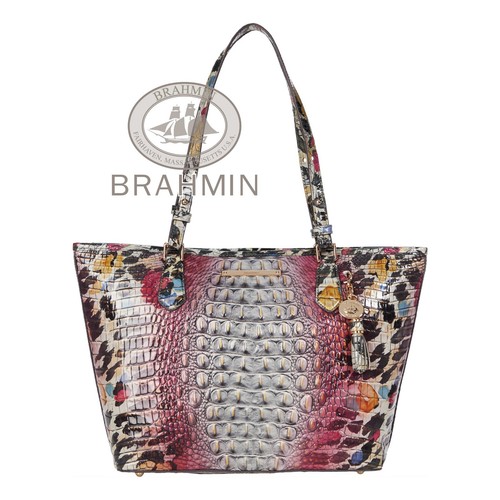 NWT Brahmin Medium Asher Ombre ADORE Melbourne Leather Tote
