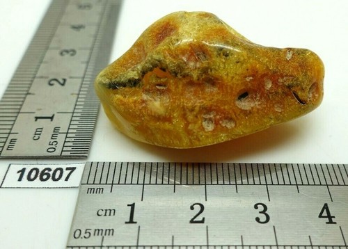 AMBRE des Baltiques 7,3 g de qualité supérieure - pierre naturelle véritable  - Imagen 1 de 5