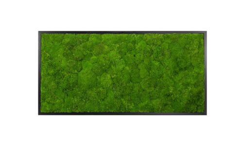 Wandbilder Wave Design Moosbild Wandbild Wand Moos Bilder Oster Dekoration - Bild 36 von 39