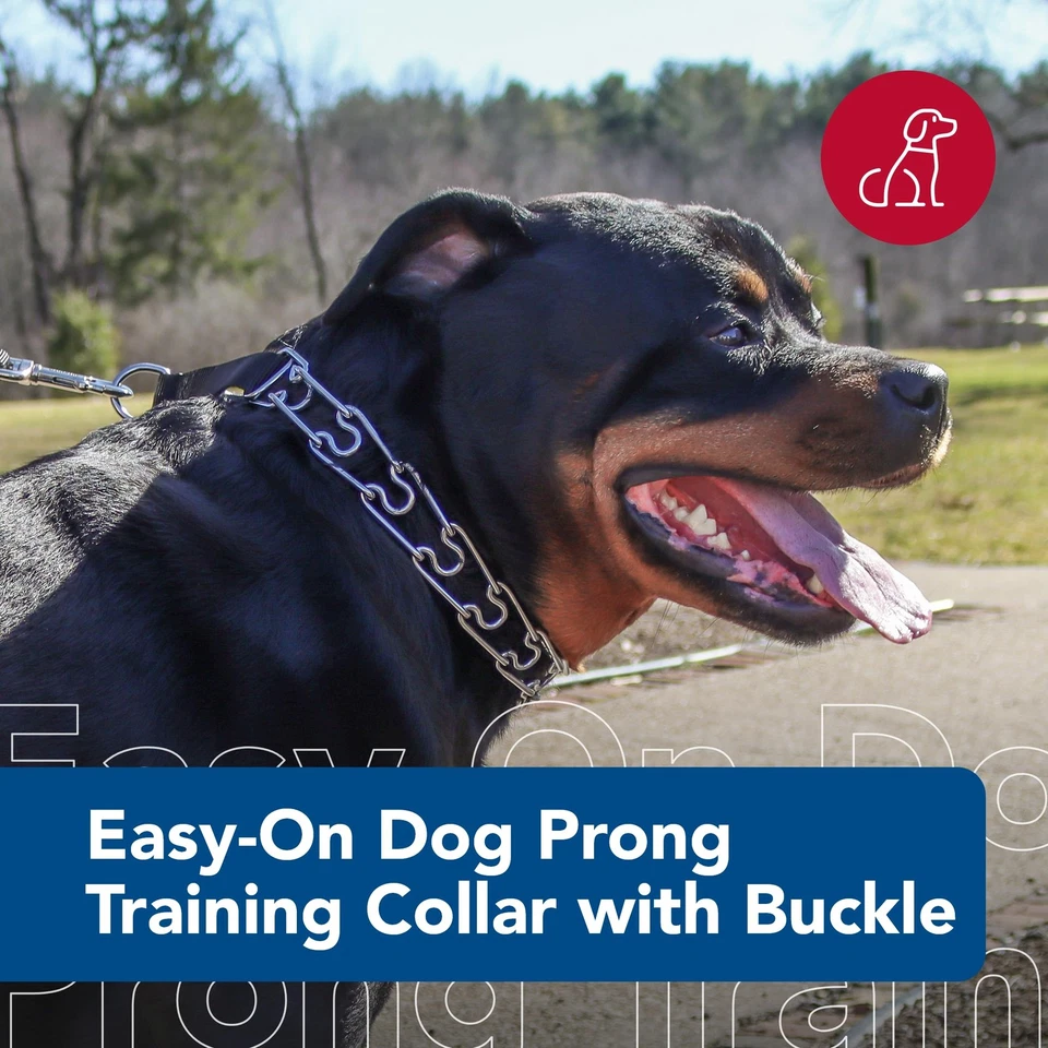 Collar de entrenamiento con puntas de perro fácil de poner Coastal Pet - Collar de metal duradero con lateral... Foto 2 de 4