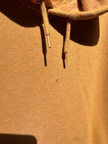 Carhartt Herren Hoodie Gold Sleeve Logo Workwear Gr. Small - getragen, distressed - Bild 5 von 7