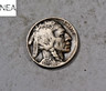 1930 Buffalo Nickel ~ Extra Fine XF/EF ~ ZB209 Philadelphia Buffalo