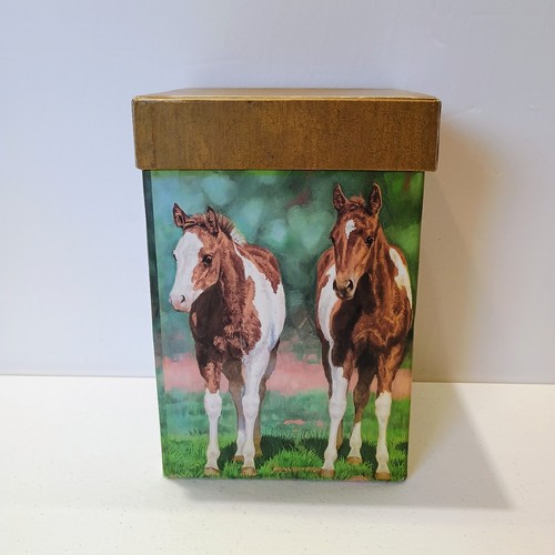 Tazza lunga tema cavallo 5036007 tazza da viaggio caffè tè formato pinta con scatola 14 oz - Foto 2 di 8