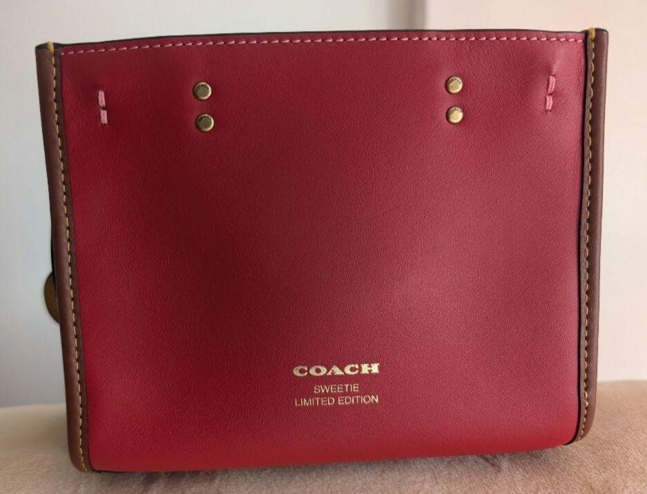 Coach CC397 Limited Coachies Sweetie Rogue 17 In Signature