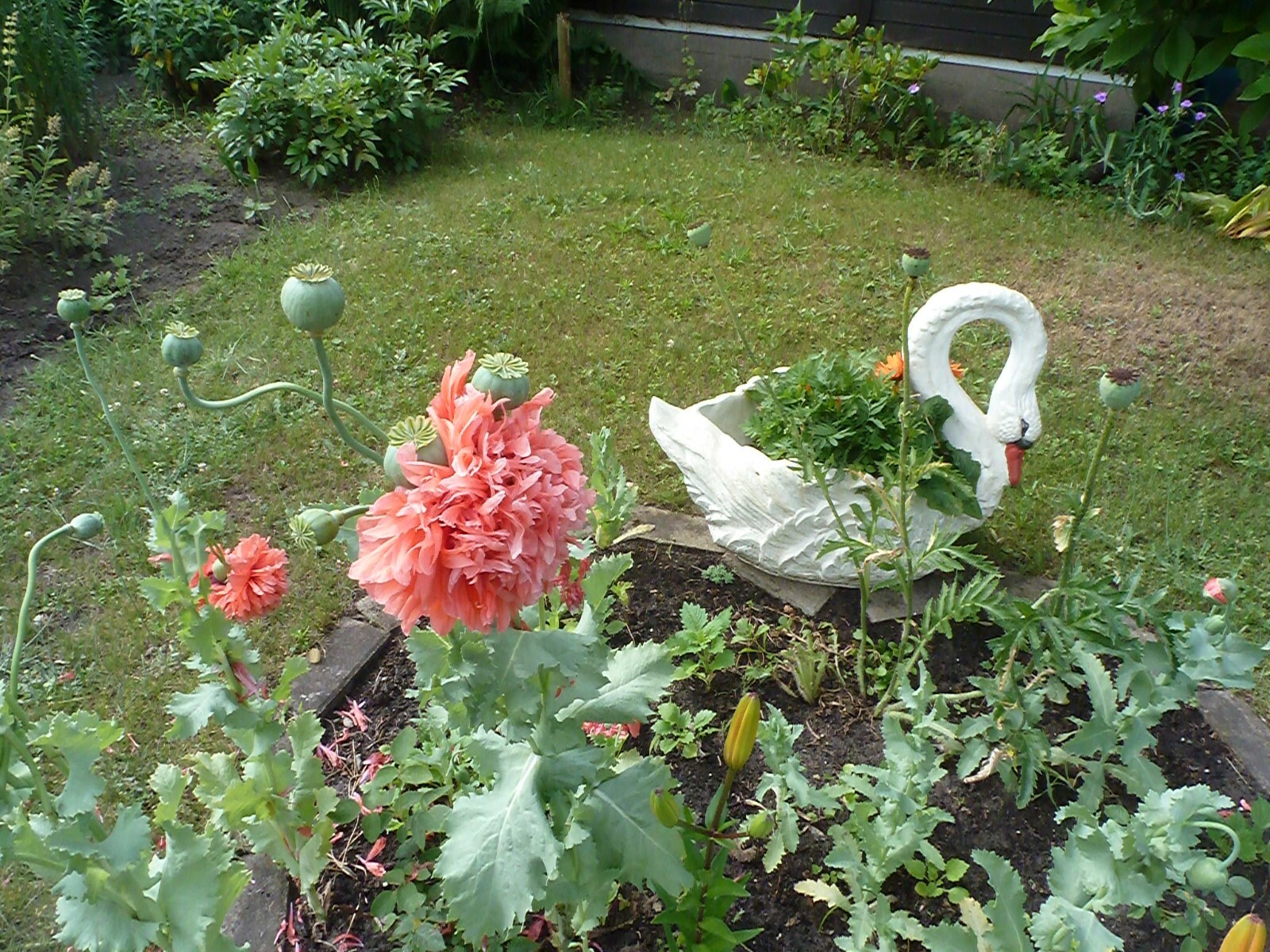 Bild 11 von 21