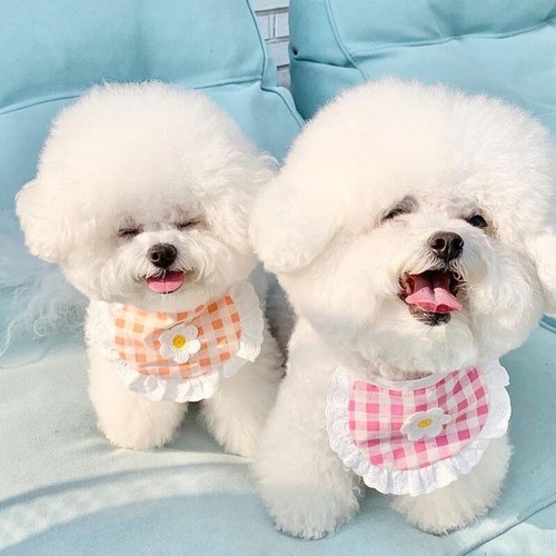 Dog Bandana Scarf Collar Triangular Bandage Plaid Washable Bib Cat Neckerchief ∠ - Picture 7 of 20