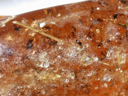 Affascinante LOTTO di Insetti in Ambra Copal Colombiana Fossile GIGANTE 226 grammi - Foto 7 di 24