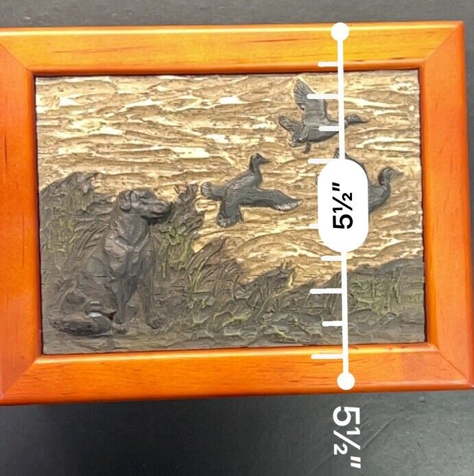 Foto 13 di 14