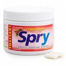 Chewing Gum  Cinnamon 100 Count By Xlear Inc