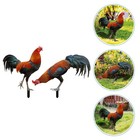 2Pcs Acrylic Chicken Garden Stakes Decorative Rooster Art for Outdoor Decor