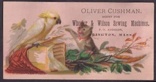 Oliver Cushman Wheeler & Wilson Sewing Machines Abington MA trade card parrot
