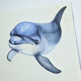 ECCO THE DOLPHIN Sega Mega CD 1376 mcd