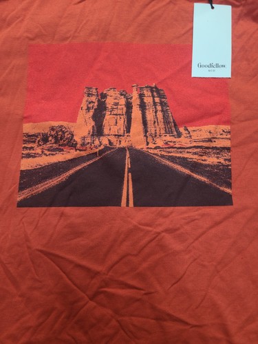 Men's Short Sleeve Graphic T-Shirt Goodfellow & Co Dark Orange Size Large - Picture 3 of 6