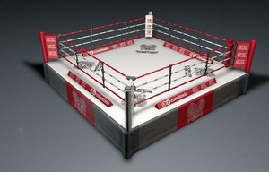 Creed-2-Screen-Used-Creed-Vs-Drago-Russian-Ring-Set-Oversized-Pick-Up