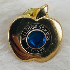 Billings School District Missouri 2 Year Employee Teacher Service Award Pin