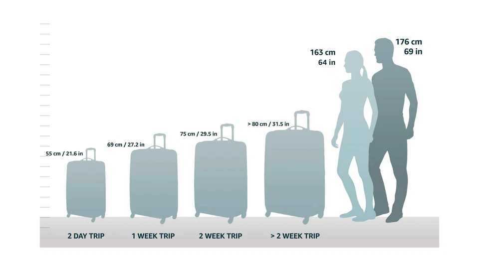 Cartera de mano grande de cuero Piel, silla de montar, talla única Foto 2 de 4