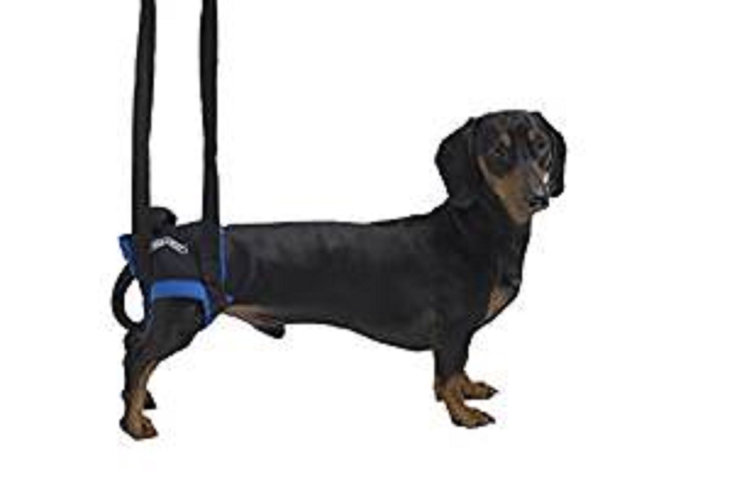 Kruuse Walkabout Hind Legs Harness, Medium Large, Premium Service, Fast Dispatch Kruuse Walkabout Hind Legs Harness, Medium Large, Premium Service, Fast Dispatch