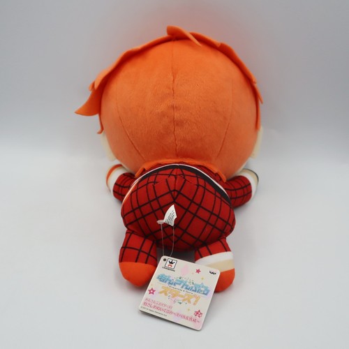 Conjunto Estrellas MC1202 Subaru Akehoshi Banpresto 2017 Nesoberi Peluche 9" Etiqueta Japón - Imagen 5 de 10