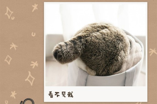 Otocolobus Manul Plush Toy Doll Decor Stuffed Toys Realistic Cute Kids Gift - Picture 7 of 10