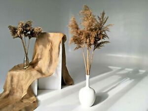 15Pcs Natural Dried Pampas Grass Bundle Art Grasses Home Wedding Flowers Decor