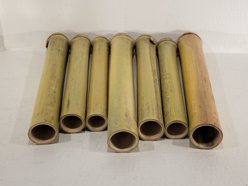 Bamboo - One Piece At 1" - 1½" Inch Dia. By 1 ft Long - Natually Dried - Picture 7 of 9