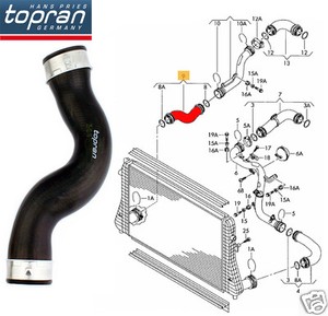 Genuine Audi Nuovo di Zecca A3 8P pacco scaffale Clip stringa esegue il pegging x2 CONSEGNA GRATUITA