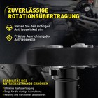 Bild 6 von 14