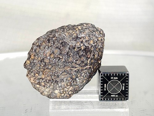 Meteorito carbonáceo NWA 16160 CV3 12,28 g con ventana pulida fecha 4,5+ byo - Imagen 5 de 9