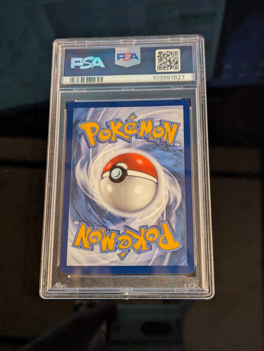PSA 8 Squirtle 148/142 Stellar Crown Pokemon TCG