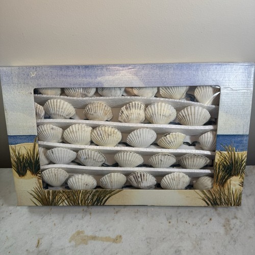 Set Maritim Muschel Lichter Innen Außen 30 Muscheln Soft Light Strand CTS NOS