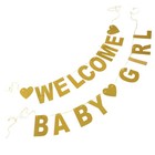  Welcome Baby Girl Banner: Glitter Birthday Party Banner Garland Decorative