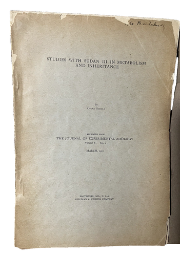 1910 Study Sudan III Metabolism & Inheritance by Oscar Riddle Exp Zoology