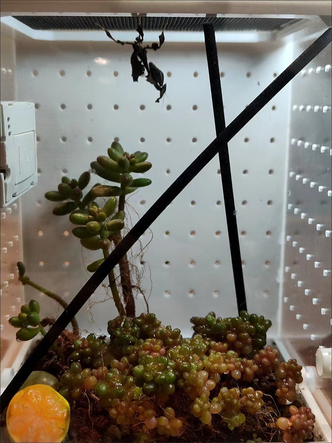 Picture 3 of 10