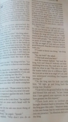 NLT BIBLE HARD BACK DUST JACKET RED LETTER NICE - Picture 5 of 9
