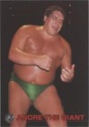 1998 Bandai New Japan Pro Wrestling - Andre the Giant #70