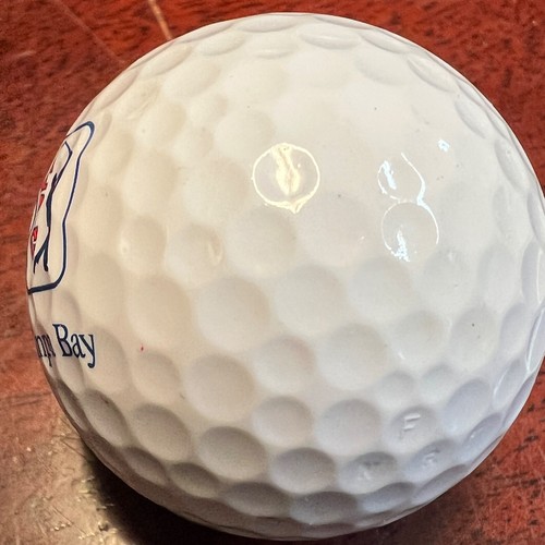 Tampa Bay Florida TPC Golf Course Logo Titleist Golf Ball L-15-4 - Picture 8 of 10