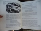 Picture 5 of 6