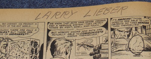 HULK COMIC #1~SIGNED STAN LEE~LARRY LIEBER~BRIAN BOLLAND~MARVEL~UK~COA~1979 - Picture 5 of 17