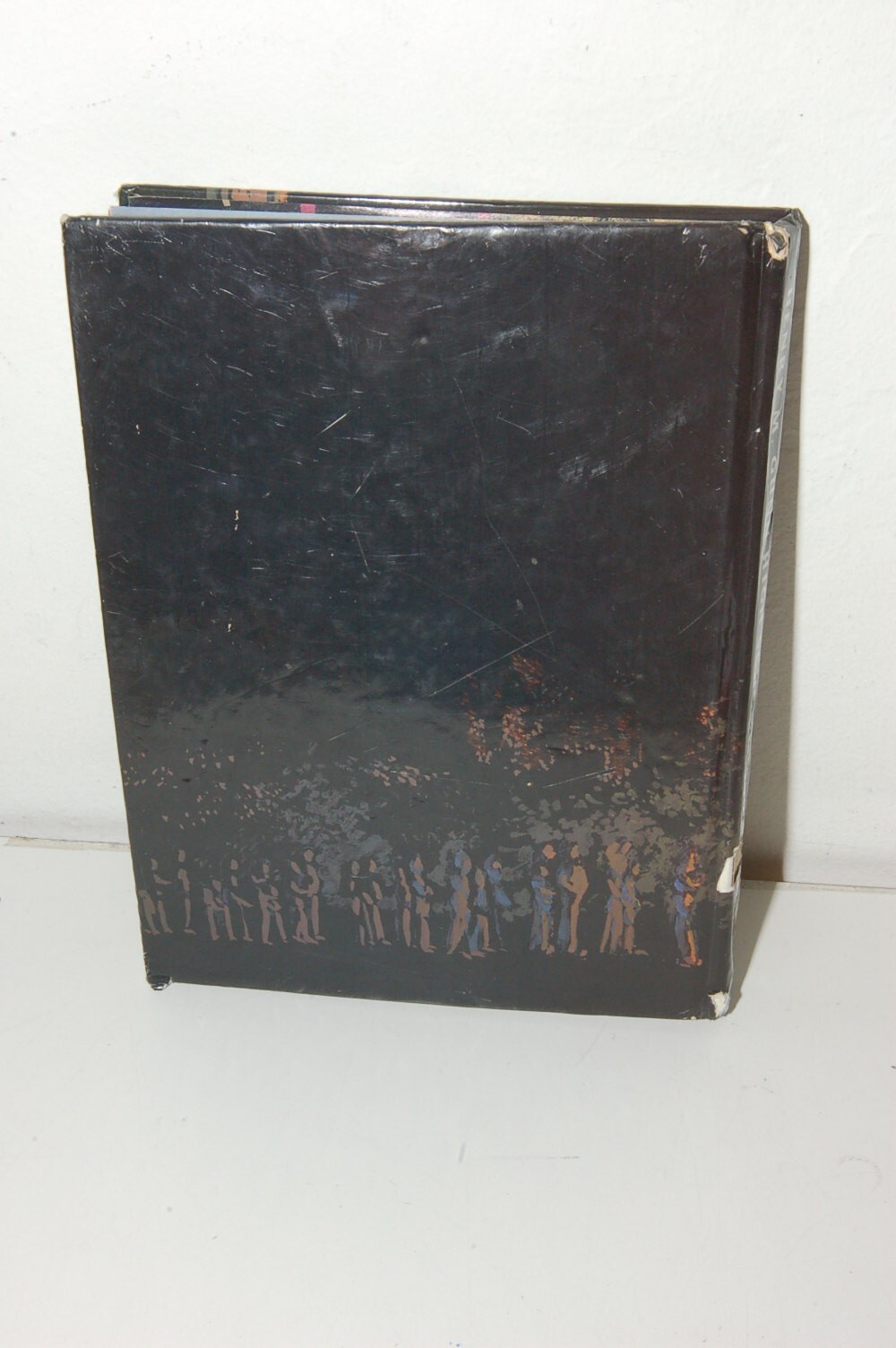 Picture 3 of 6
