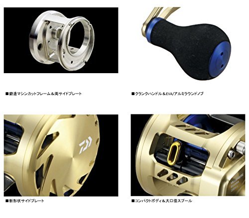 Fishing DAIWA MILLIONAIRE BASARA 100H-L Fishing Fishing 100H-L REEL MA f7dfa2 Fishing DAIWA MILLIONAIRE BASARA 100H-L Fishing Fishing 100H-L REEL MA f7dfa2