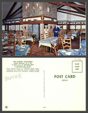 COLORADO CHROME VINTAGE POSTCARD