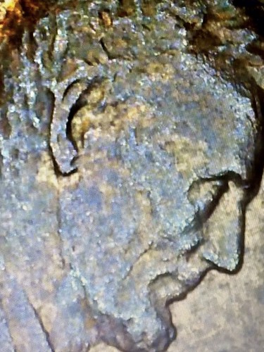 1988 Lincoln Memorial Cent FS-901 Wide AM-Extra Lower Earlobe-Flared Vertical FG - Picture 5 of 6