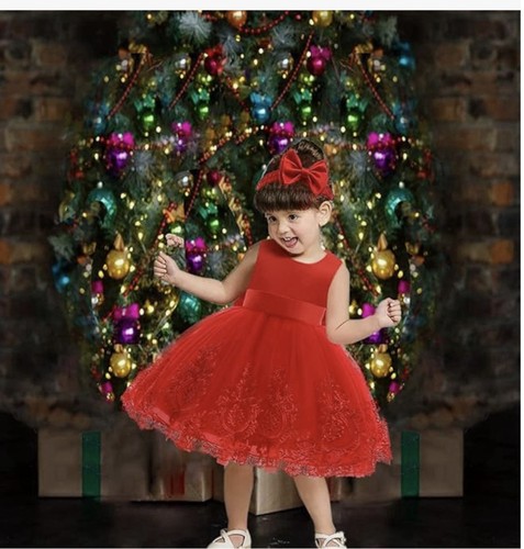 Baby Girls 3-6 Months Red Pageant Lace Embroidery Dresses Bowknot Tutu Dress - Bild 5 von 6