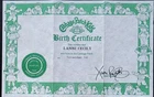 Vintage Cabbage Patch Kids Birth Certificate Girl ~ Lanni Cecily ~ Coleco 1980's