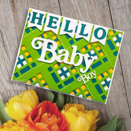 Creative Expressions Sue Wilson Baby Collection Metal Dies *2023* - Picture 91 of 132