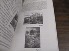 Picture 13 of 14